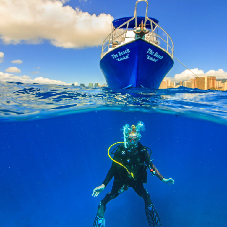 Livingoceantours Turtle Canyons Snorkel Excursion Guests
