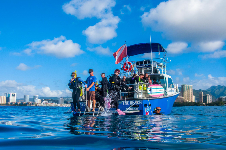 Livingoceantours Turtle Canyons Snorkel Excursion Guide Local Crew