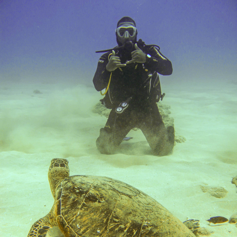 Livingoceantours Turtle Canyons Snorkel Excursion Take Photo