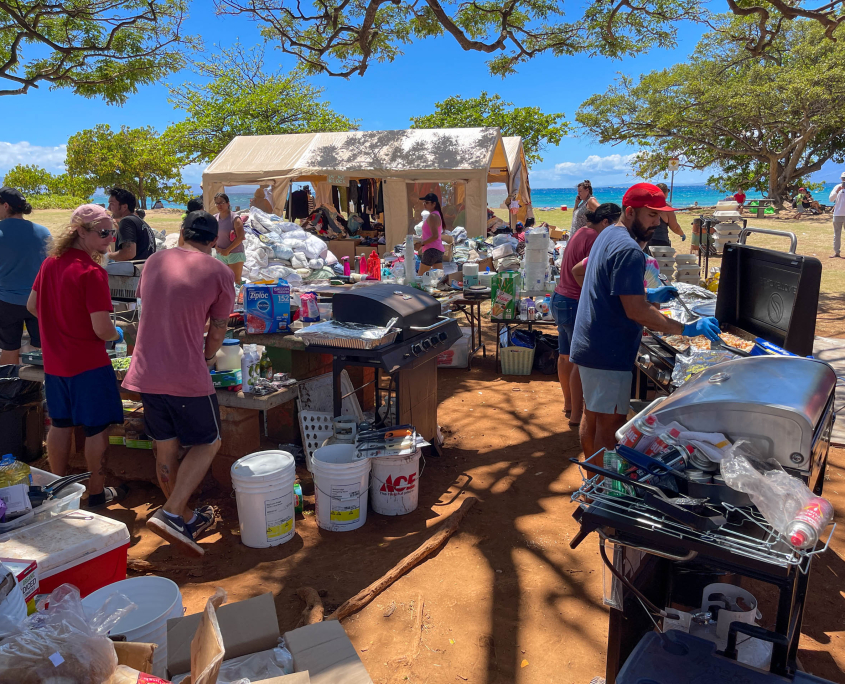 Maui Volunteer