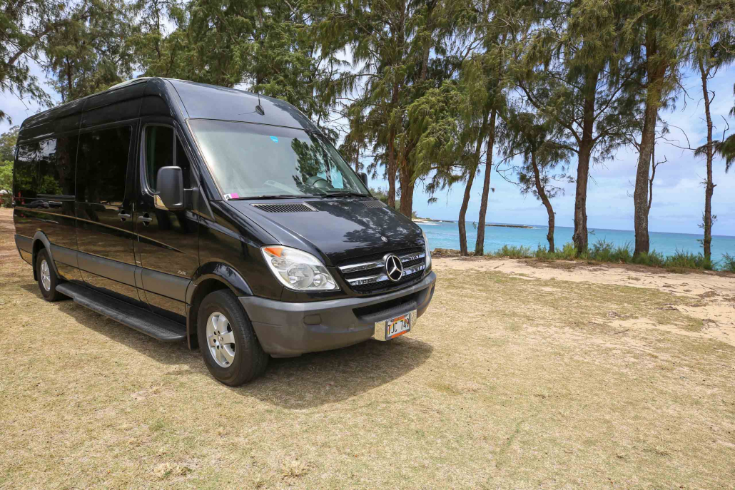 Vans And Guides Hawaii Black Vans