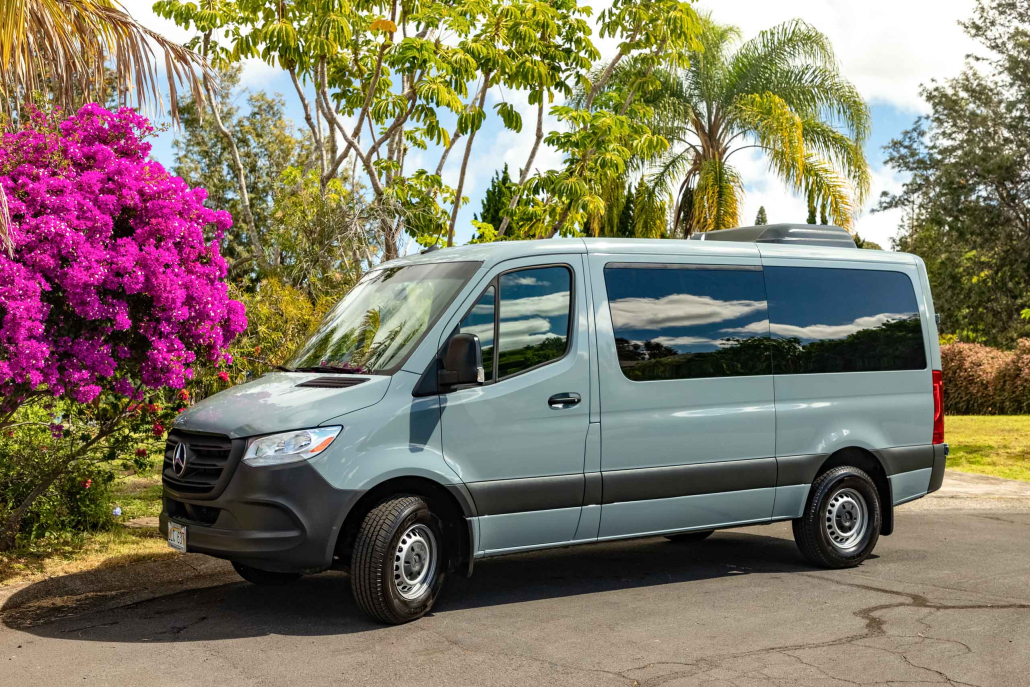 Vans And Guides Hawaii Gray Vans
