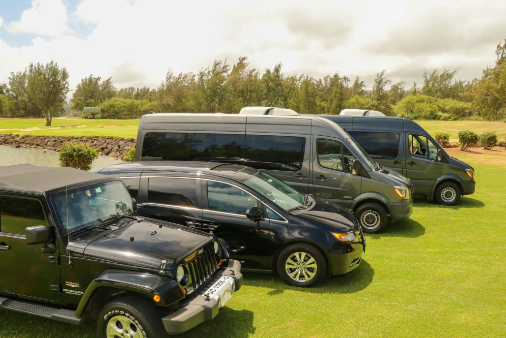 Big Island Charter Services Cars Vans