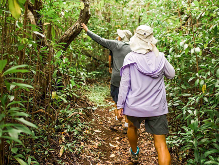 Helewaiecotours Mahana Ridge Trail Hike Guests In Jungle