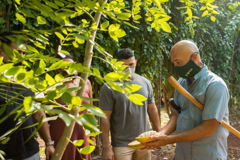 Mauichocolatetour Guided Cacao Farm Tour Learn From Guide