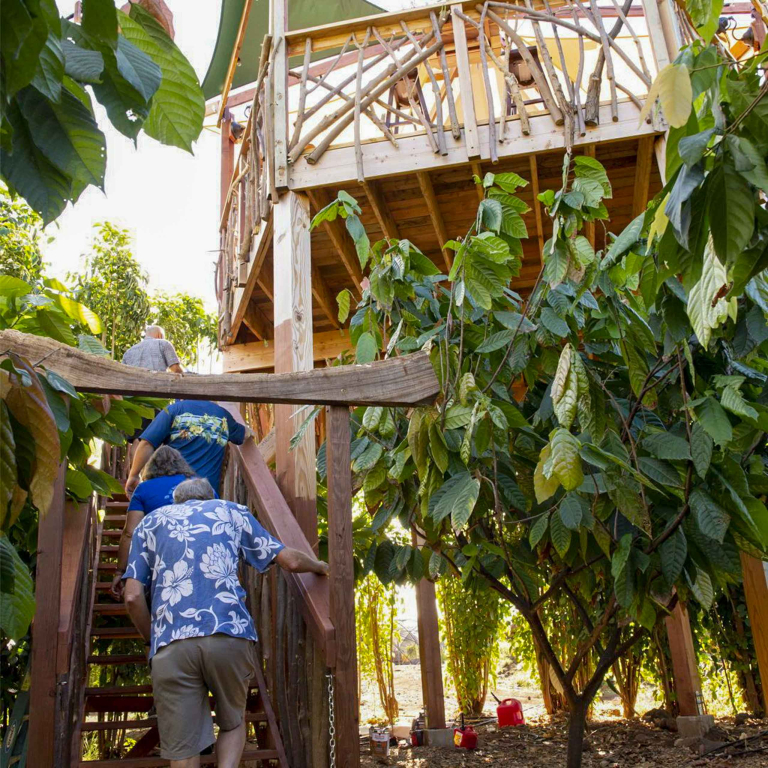 Mauichocolatetour Guided Cacao Farm Tour Visit House