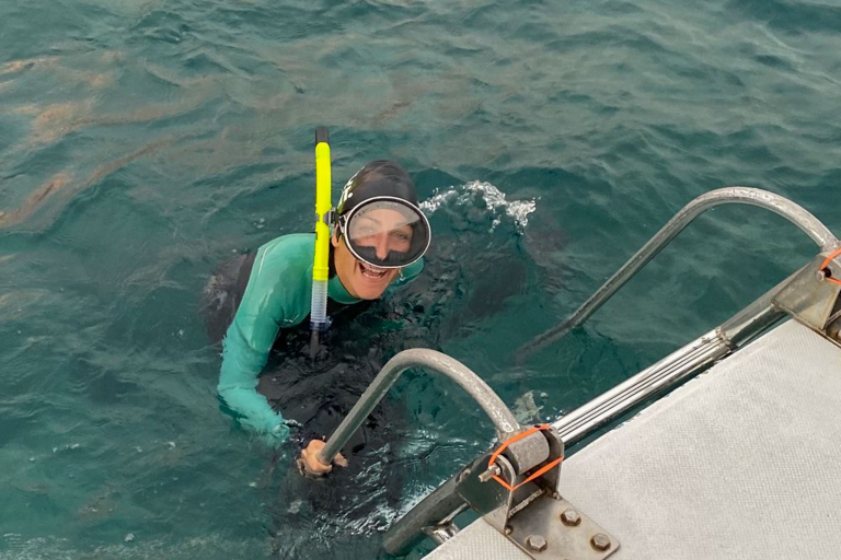 Swimwithdolphinsandmantas Kona Coast Morning Snorkel Trip Elder People