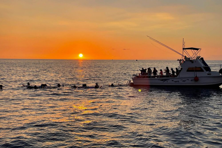 Swimwithdolphinsandmantas Kona Coast Morning Snorkel Trip Morning Sun