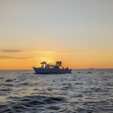 Swimwithdolphinsandmantas Kona Coast Morning Snorkel Trip Morning Sunrise