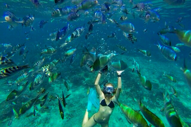Swimwithdolphinsandmantas Kona Coast Morning Snorkel Trip Snorkel Girl