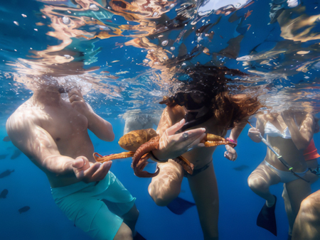 Ultimatewhalewatch Lanai  Hour Express Snorkel Guests Having Fun