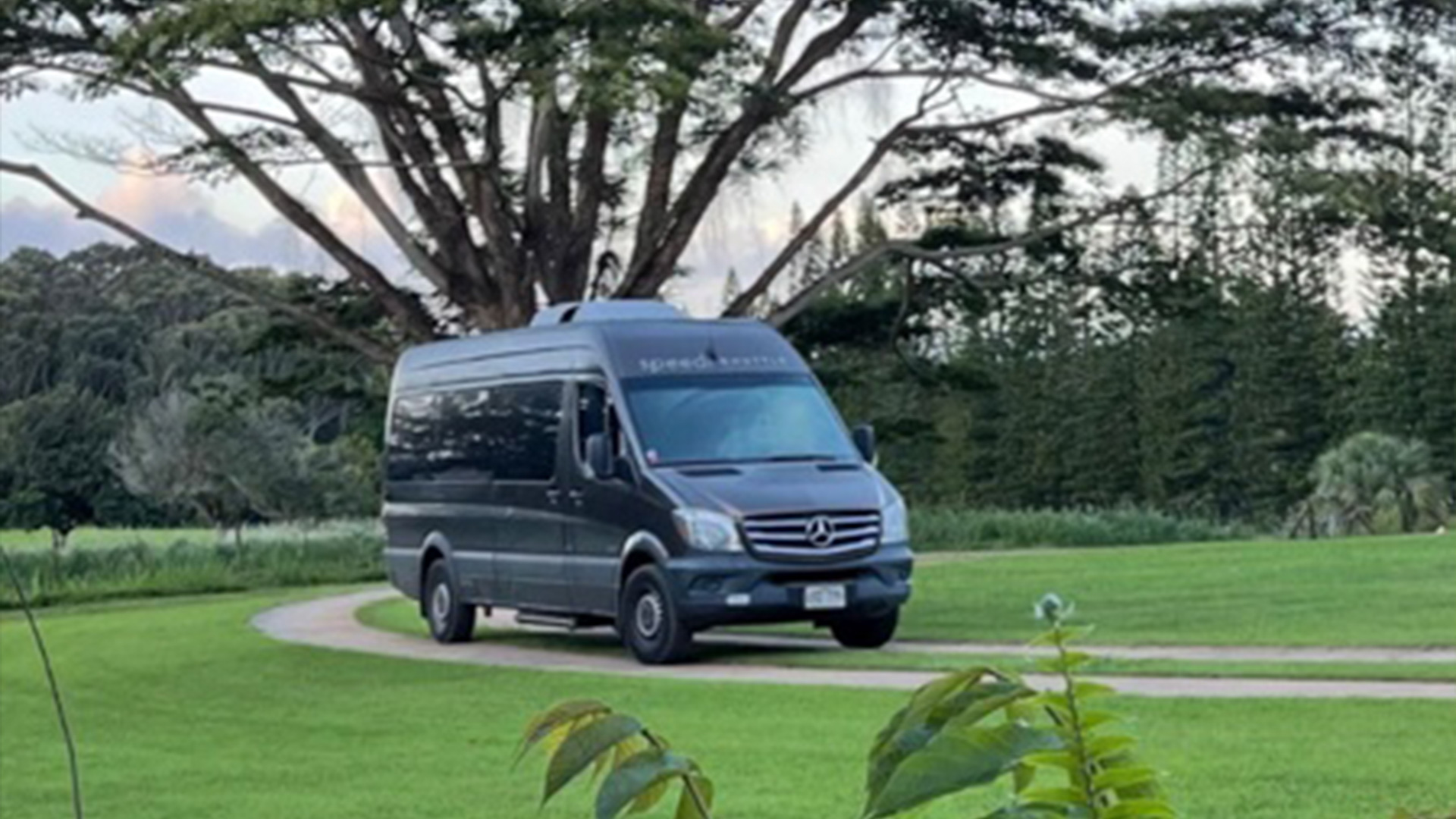 Oahu Airport To Waikiki Private Shuttle Hawaii Tours and Activities