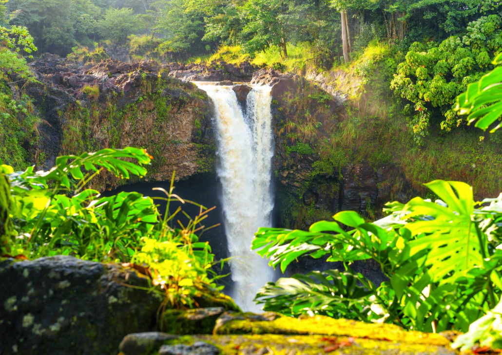 Hilo Waterfall Tour Fall Stops