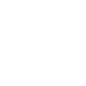 Icon Guarantee