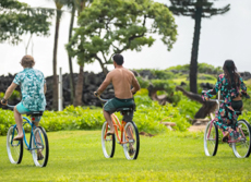 Kauaishoreshotel Nearby Activities Mini