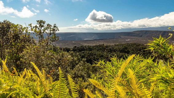 Kilauea Crater View From Volcano House The Area