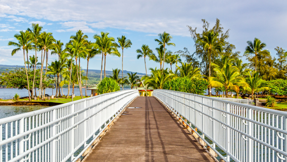 Adobestock Coconut Island In Hilo