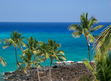 Adobestock Mini Pristine Waters And Volcanic Lava Of Hawaii Kona Beach