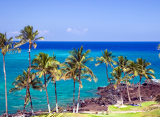 Adobestock Mini Snorkeling Beach On Kona Island