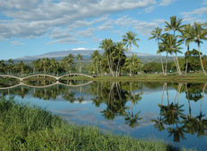 Adobestock Mini Wailoa Pond Hilo