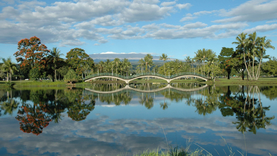 Adobestock Wailoa Pond Hilo