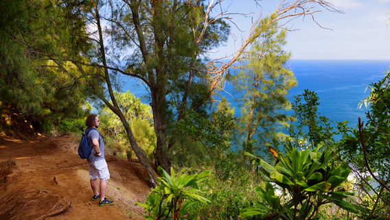 Big Island Pololu Loop Trail Located Near Kapaau