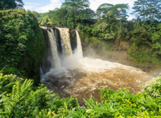 Hilo Waterfall Tour Famous Site Mini