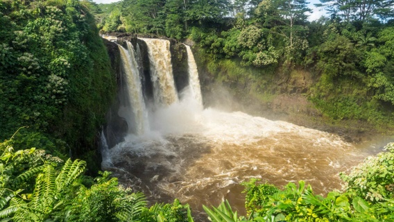 Hilo Waterfall Tour Famous Site