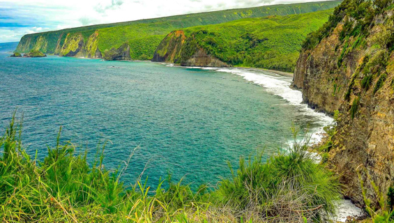 Hilo Waterfall Tour Kohala Hamakua Coast