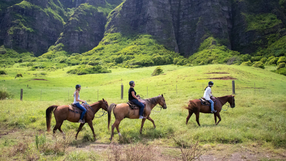 Horseback Group Of People Riding Horses Moutain View