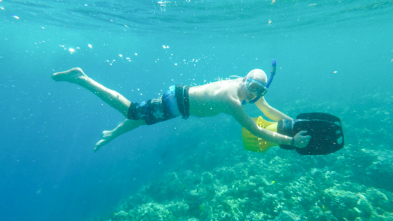 Kona Kealakekua Bay Snorkle Tour