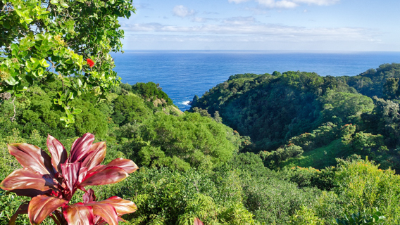 Maui Garden Of Eden Maui Coastal View Maui