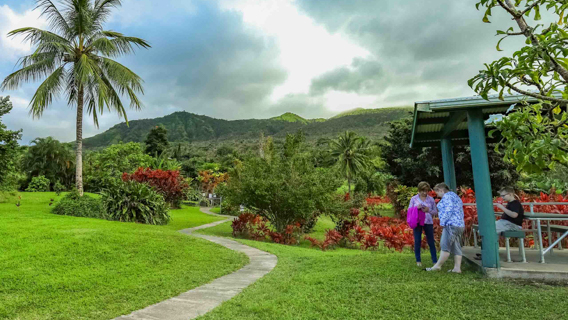 Maui Hana Cave Adventure Road To Hana Lava Tube Cave Maui Adventure