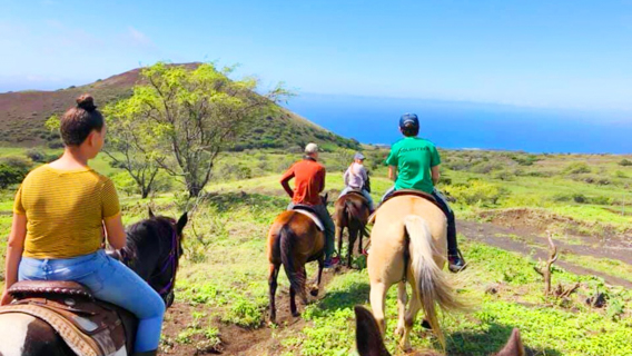 Maui Picnic Ride Fun For The Whole Family Maui Family