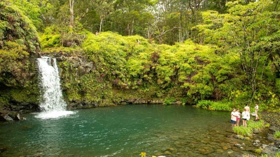 Maui Road To Hana Maui Waterfall Puaa Kaa State Wayside