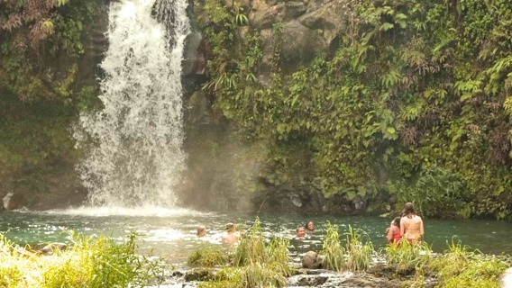 Maui Swimming Visitors At Puua Kaa