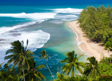 Mini Kauai Beach Shore