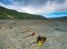 Mini Kilauea Iki Crater Trail Volcanoes National Park Big Island