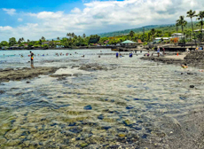 Mini Kona Kahaluu Beach Tidepools Kona Big Island