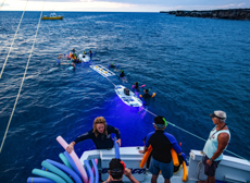 Mini Manta Ray Night Snorkel Kohala Big Island Matt