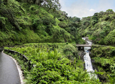 Mini Maui Halfway To Hana Road  Maui Road To Hana