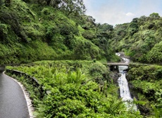 Mini Maui Halfway To Hana Road