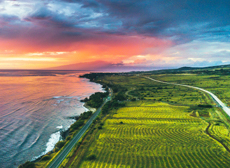 Mini Maui Sunset Road