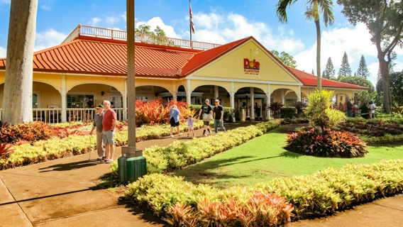 Oahu Dole Plantation North Shore