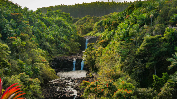 Hilo Horseback Riding Tour