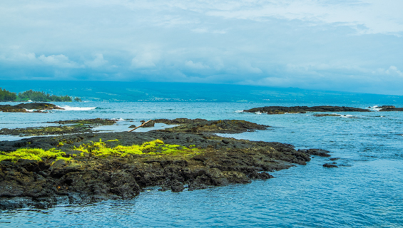 Hilo Lava Shoreline Hilo