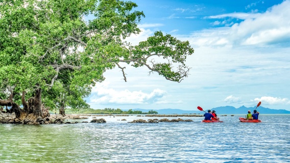 Visitors Kayaking Leeward Oahu