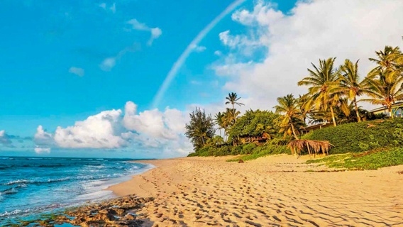 Sightseeing Snorkeling Tour North Shore Oahu Beach Rainbow Scenic View
