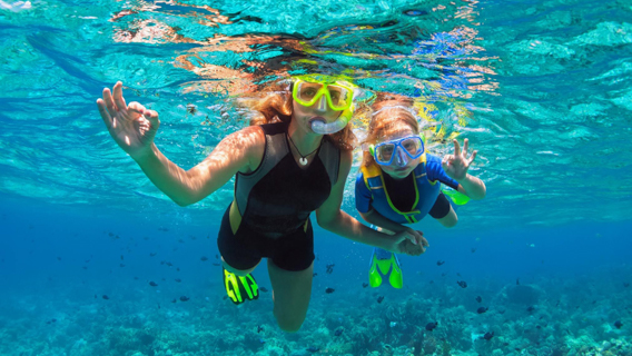 Snorkle Kona Family Tour Big Island Snorkel