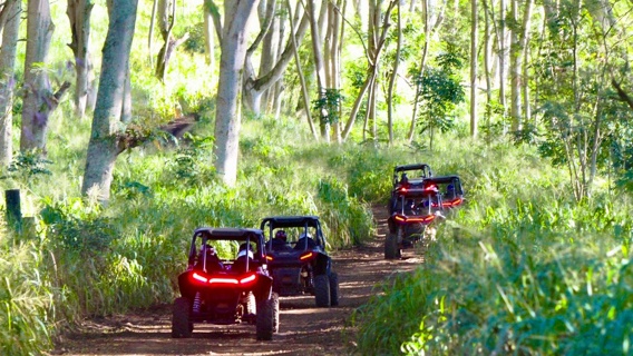 Through The Hidden Trails Of Koloas Countryside Kauai Atv